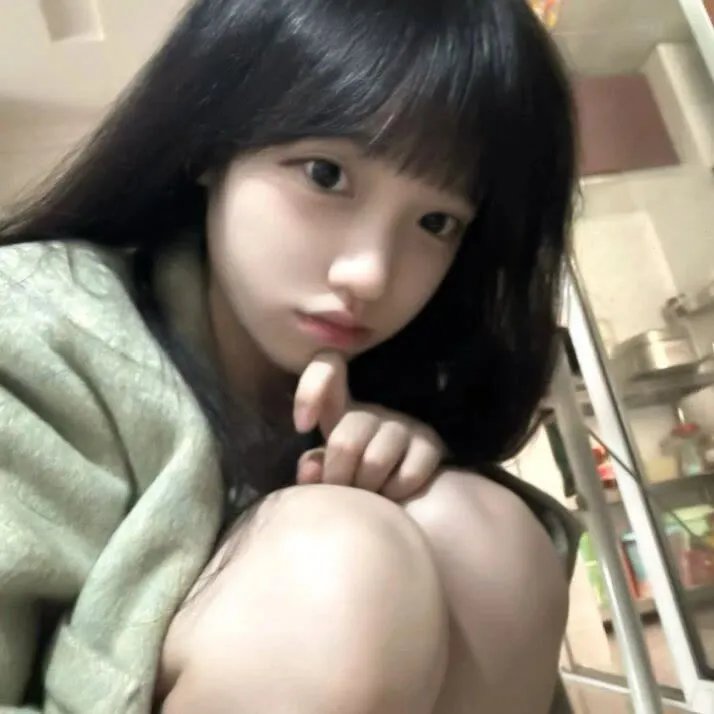 剧场版 超时空要塞F：虚空歌姬